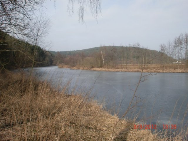 Nistkasten 030312 (12)